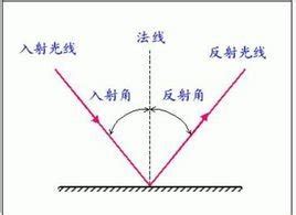 鏡子的反射|镜子反射原理